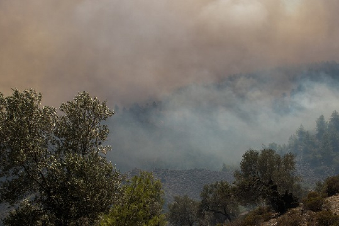 Φωτιά στον Βαρνάβα Αττικής