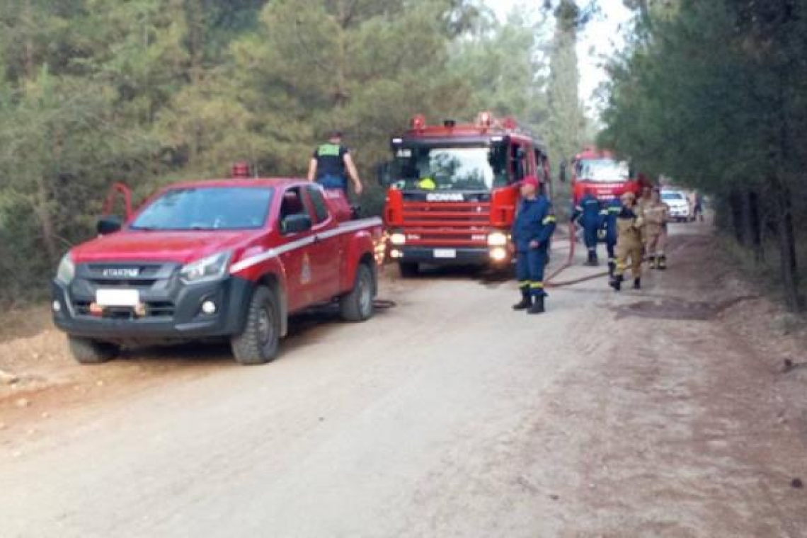 Θεσσαλονίκη: Συνελήφθη άνδρας που θεωρείται ύποπτος για τη φωτιά στο Σέιχ Σου
