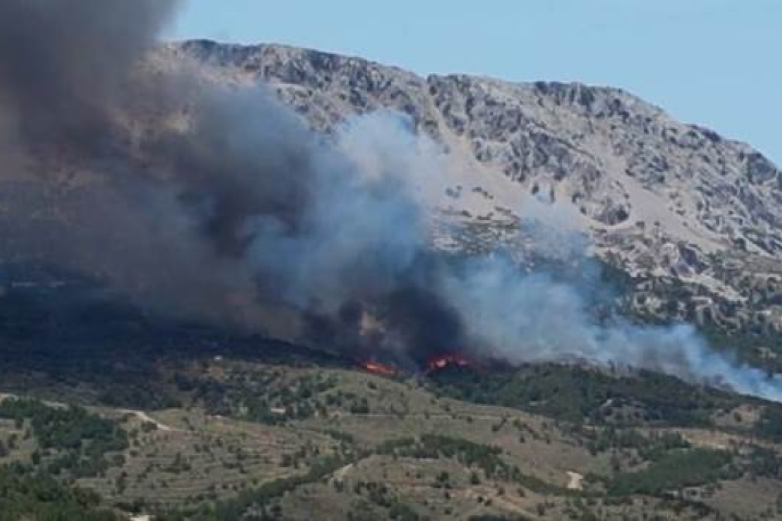 Χίος: Στάχτη 270 στρέμματα δάσους και καλλιεργειών από την μεγάλη πυρκαγιά στις Καρυές