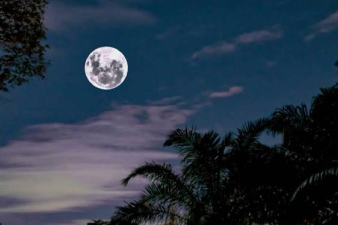 Paper Moon: Μια συναυλία για τα 30 χρόνια χωρίς τον Μάνο Χατζιδάκι στη Βέροια