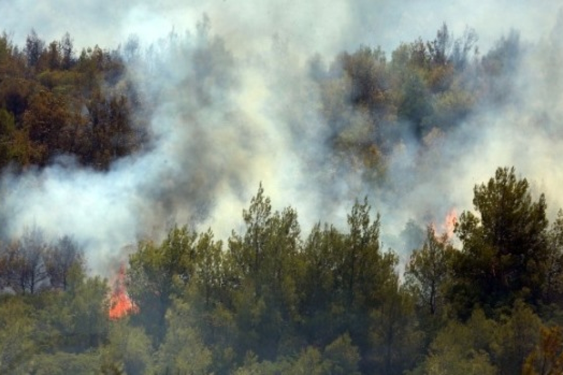 Πυροσβεστική: 33 αγροτοδασικές πυρκαγιές το τελευταίο 24ωρο