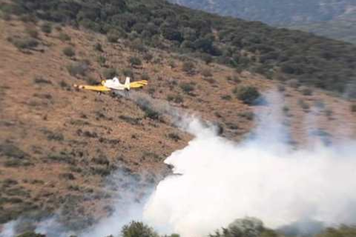 Άμεση και Συντονισμένη Αντίδραση στην Πυρκαγιά στο Μεσοπόταμο – Συγχαρητήρια από τον Δήμαρχο Πάργας