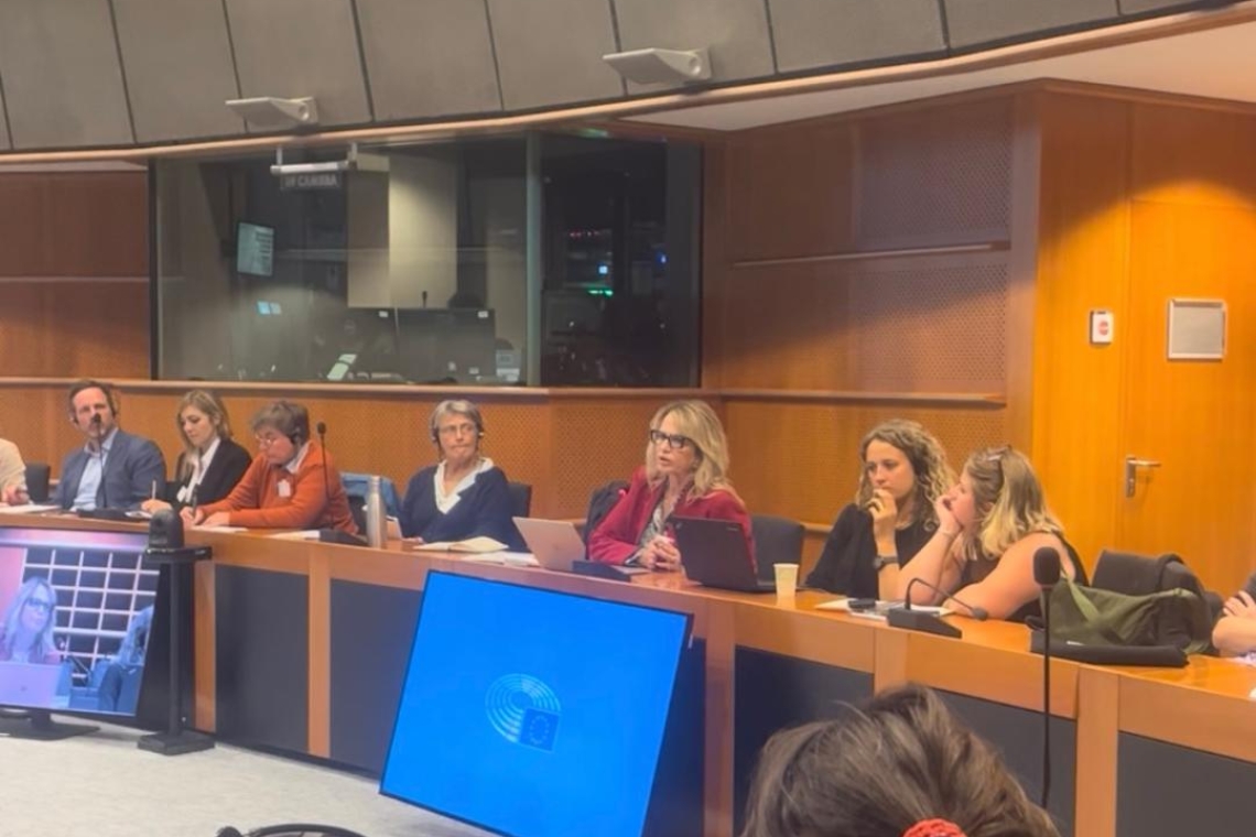 Ο Δήμος Ιωαννιτών για το Προσφυγικό και Μεταναστευτικό στο Ευρωπαϊκό Κοινοβούλιο