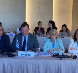 Ο Βασίλης Γιόγιακας στην 67η Γενική Συνέλευση της Κοινοβουλευτικής Συνέλευσης της ΟΣΕΠ στην Γεωργία